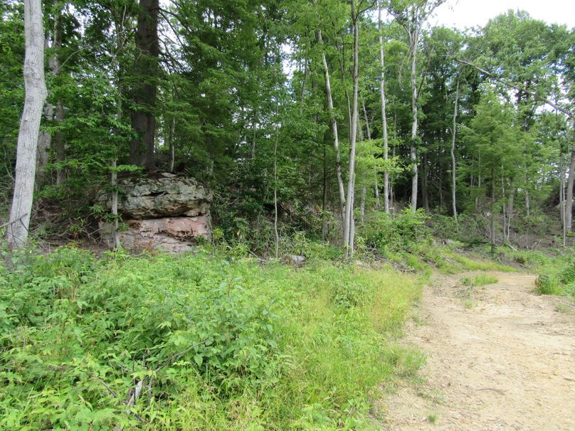 Rock outcropping and trail
