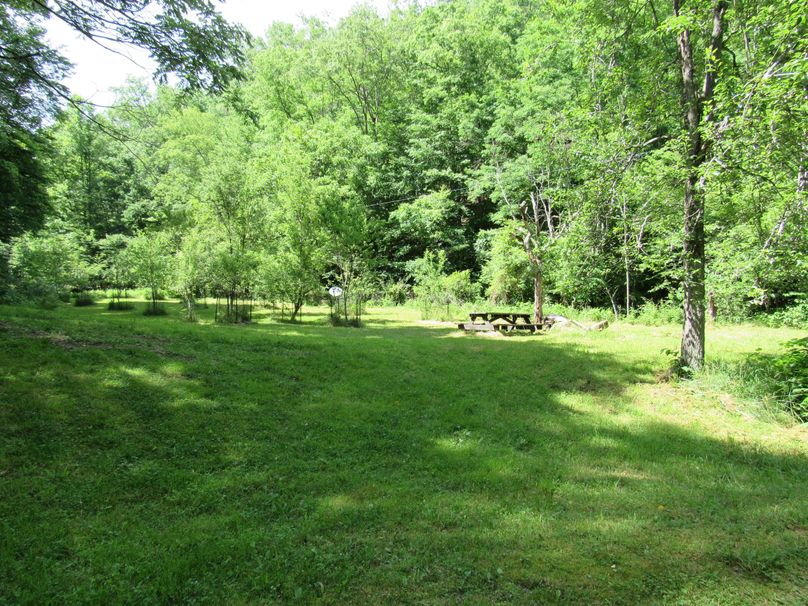 Front yard with fruit and nut trees and picnic area