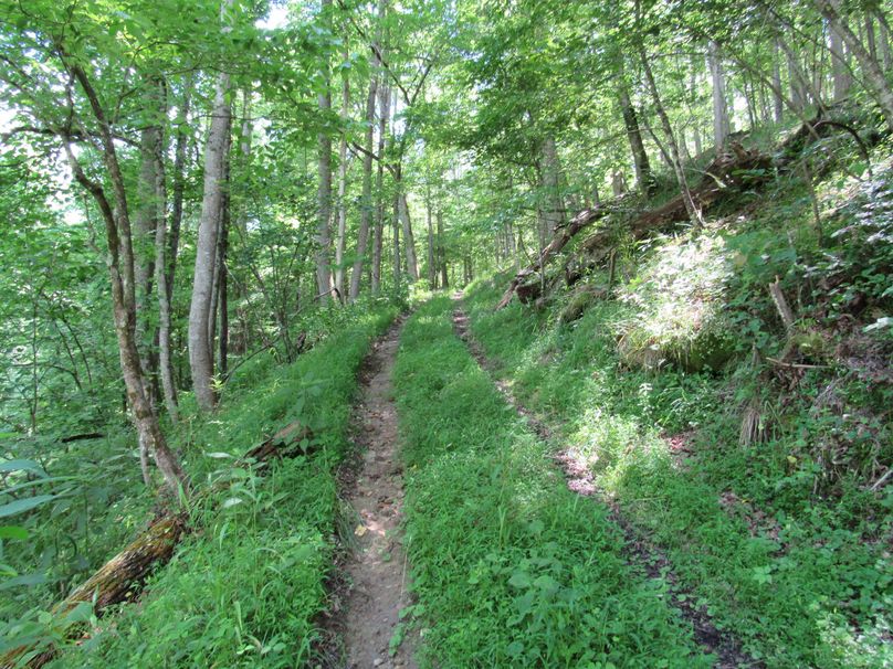 Trail system (2)