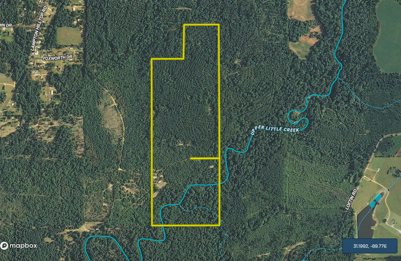 Screen shot 2020-07-15 at 11.36.23 pm