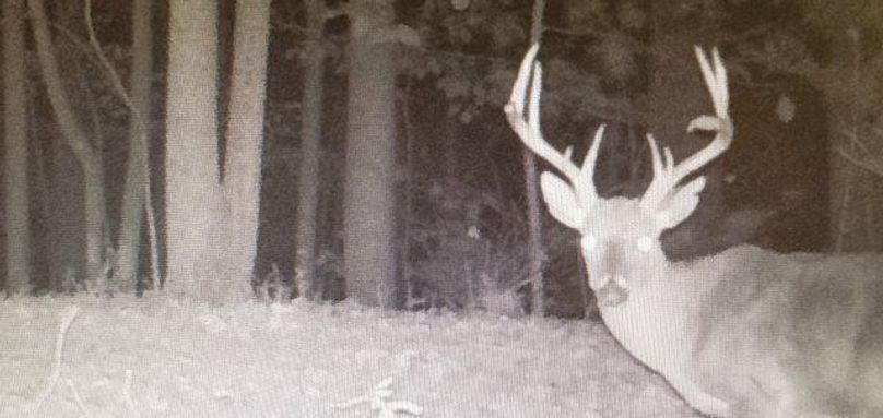 Screenshot 20200720-160154 photos