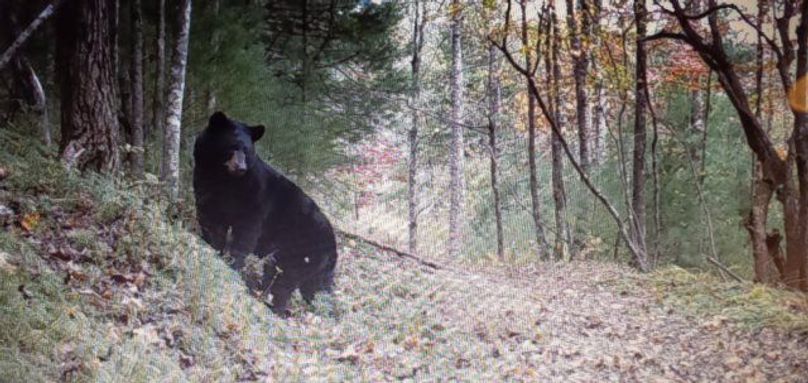 Screenshot 20200720-160103 photos