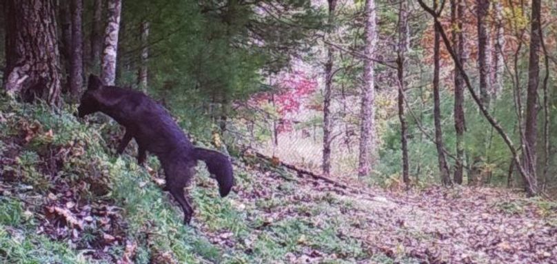 Screenshot 20200720-160116 photos