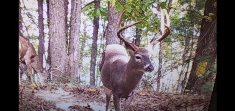 Screenshot 20200720-160137 photos