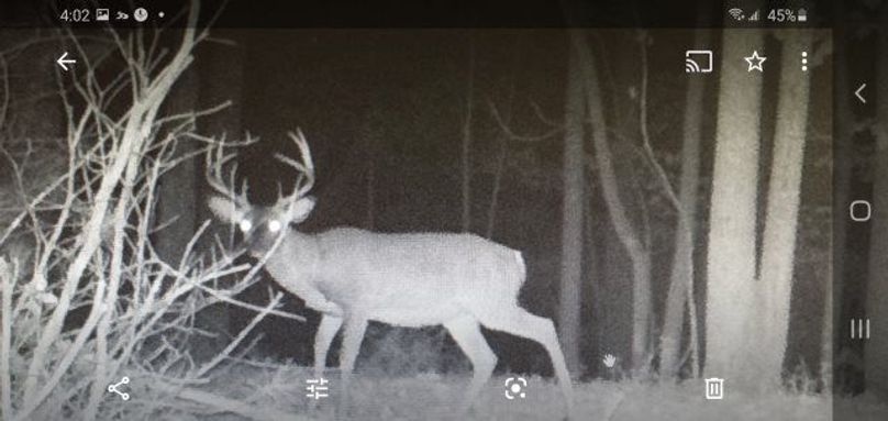 Screenshot 20200720-160209 photos