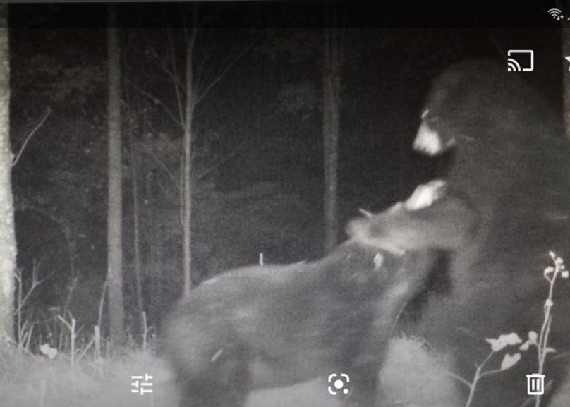 Screenshot 20200720-160326 photos