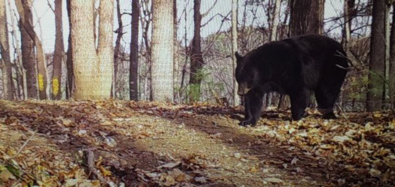 Screenshot 20200720-161103 photos