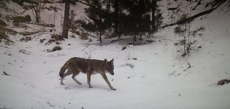 Screenshot 20200720-161118 photos