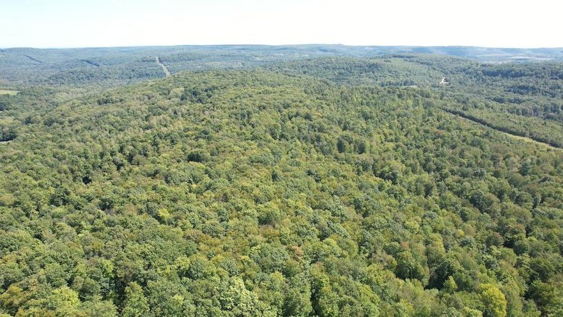 dji_fly_20240906_133418_591_1725645026961_photo