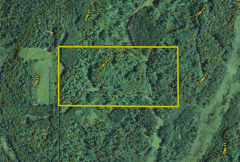 Screen shot 2020-07-27 at 9.20.52 pm