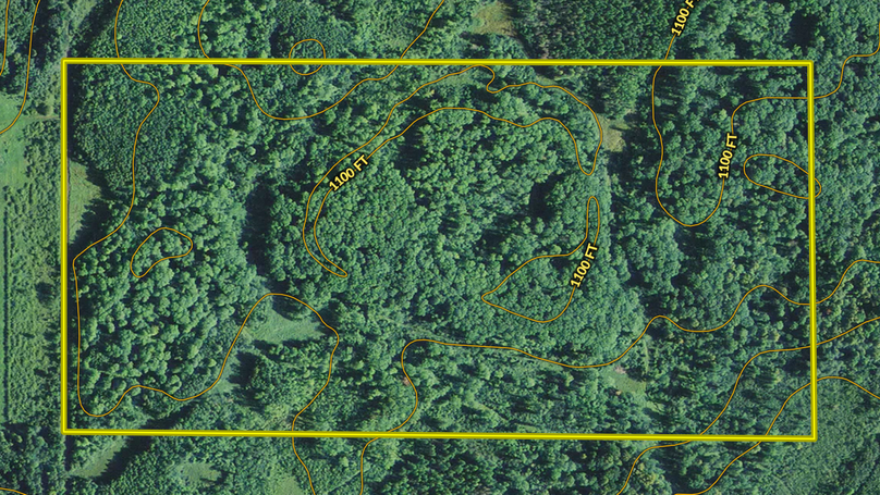 Screen shot 2020-07-27 at 9.21.19 pm