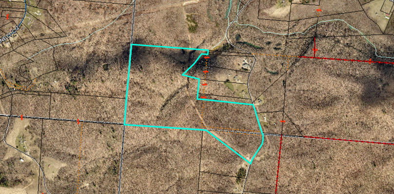 Screen shot 2020-07-29 at 11.50.38 am