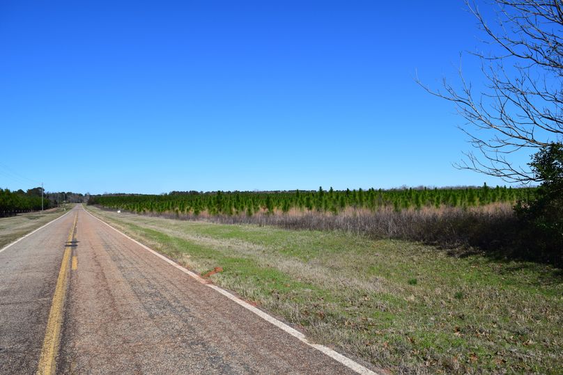 06 thrasher road frontage