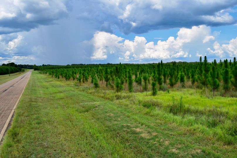 02 thrasher road frontage