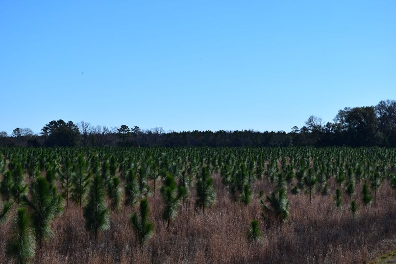 02a annual crp payment