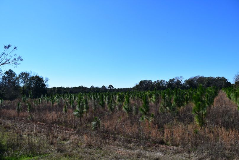 10 professionally managed