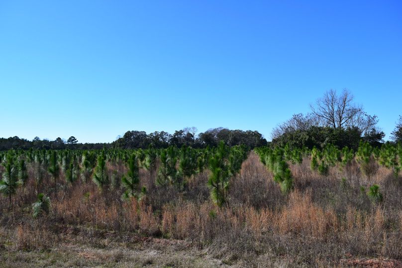 11 annual crp payment (4760)