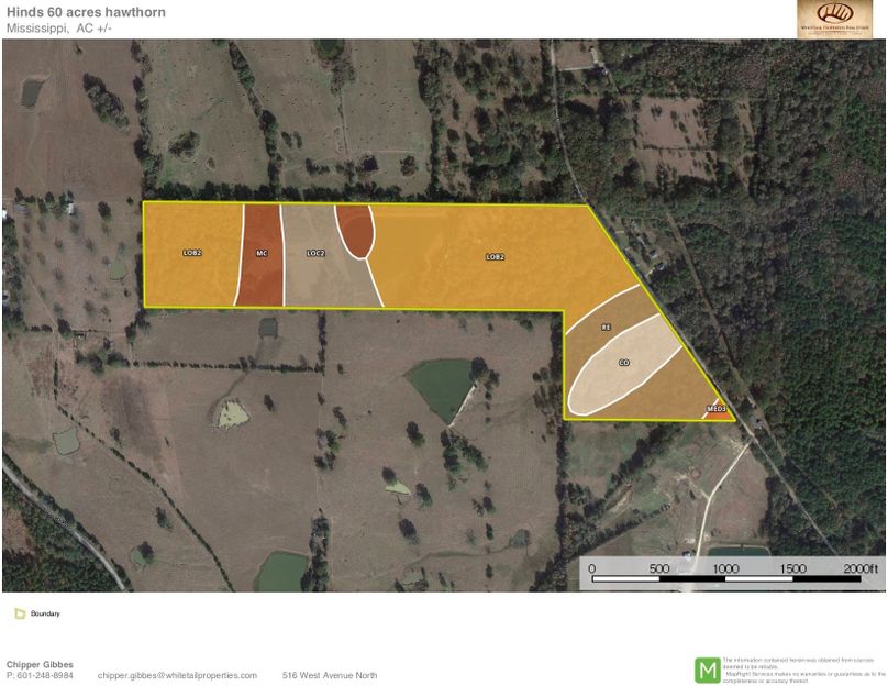 Hinds, 60 acres, soil report-2