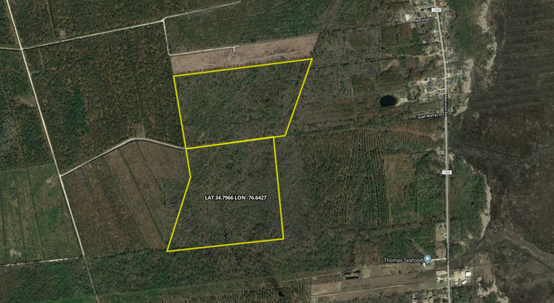 Zcopy of aerial - close