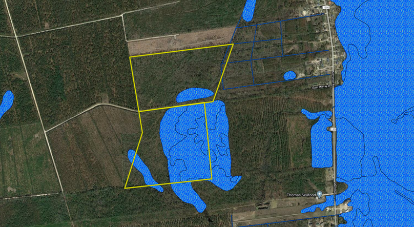 Zcopy of aerial - wetlands