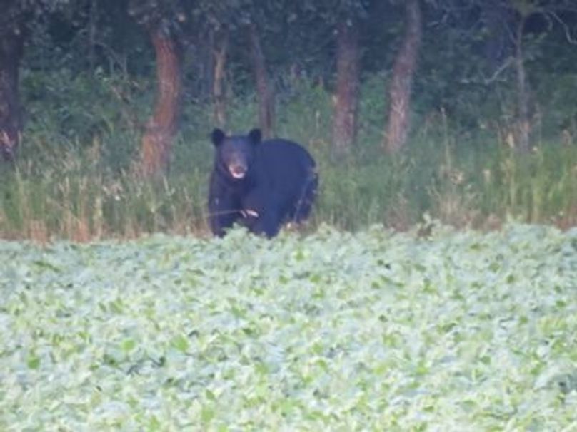 Isadw6ofm6f7mg1000000000