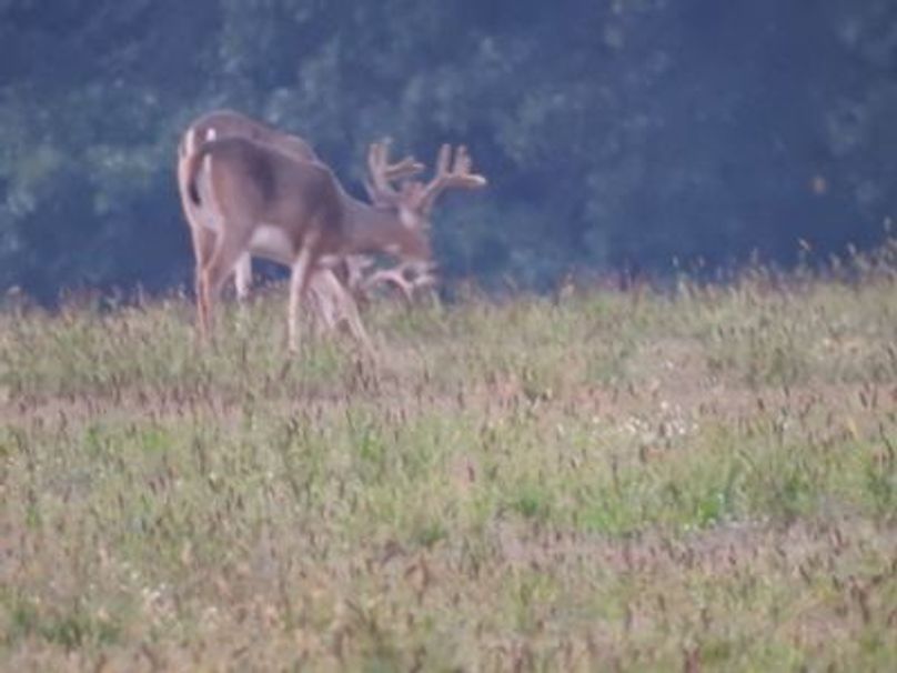 Isap9h24i1kncl1000000000