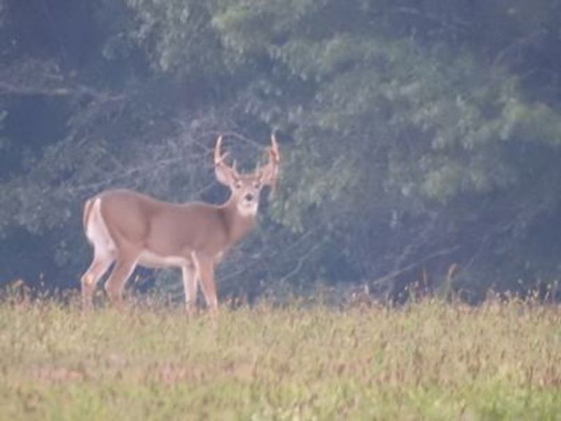 Isek4dh1p9fyyf1000000000