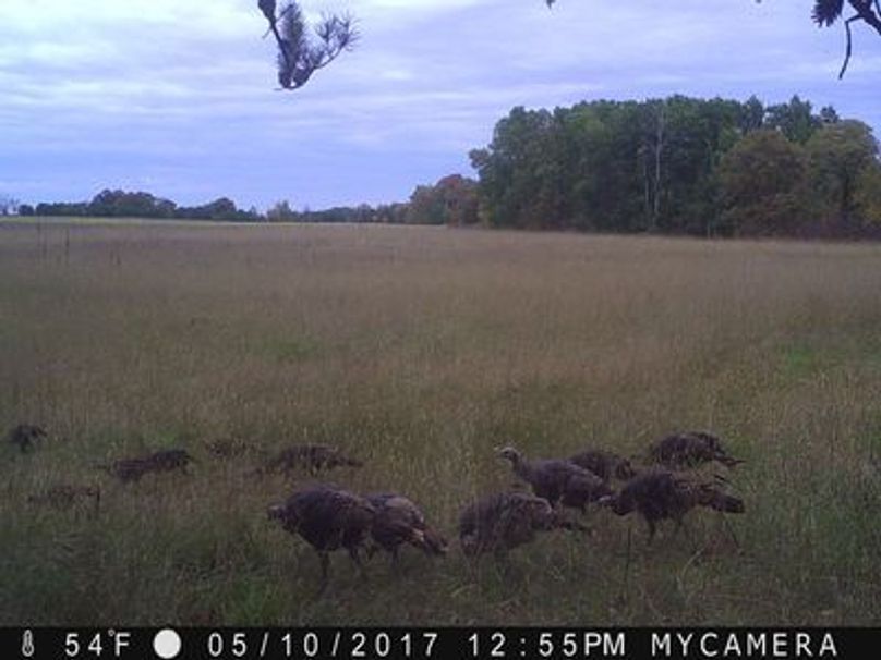 Isyz1tmmmummpc1000000000