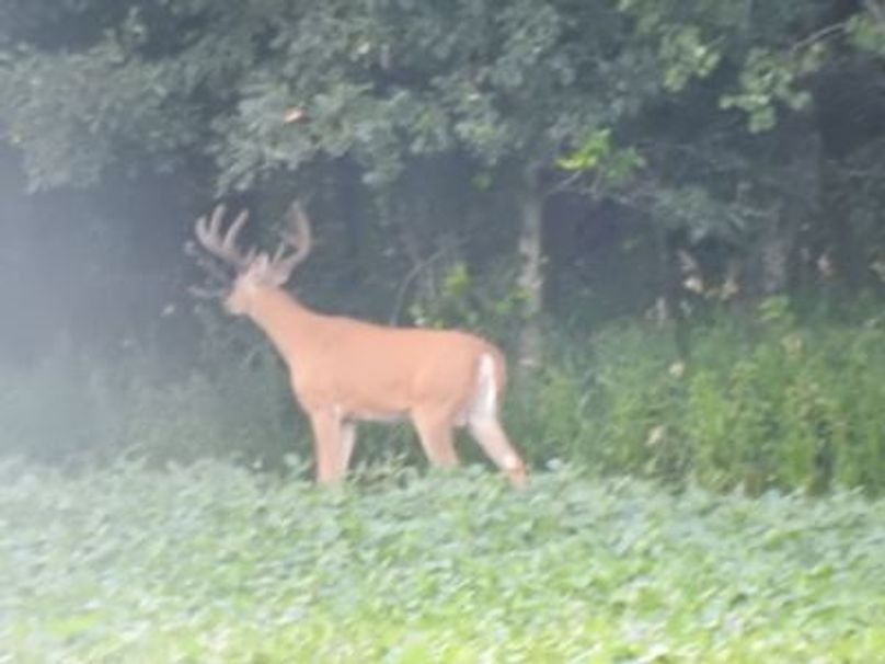 Is2zz1dx4y1ikq1000000000