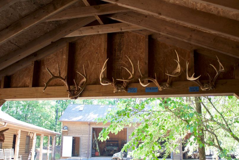 2016-02-12 18.30.49 copy