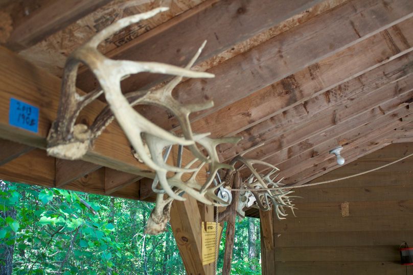 2016-02-12 18.31.11 copy