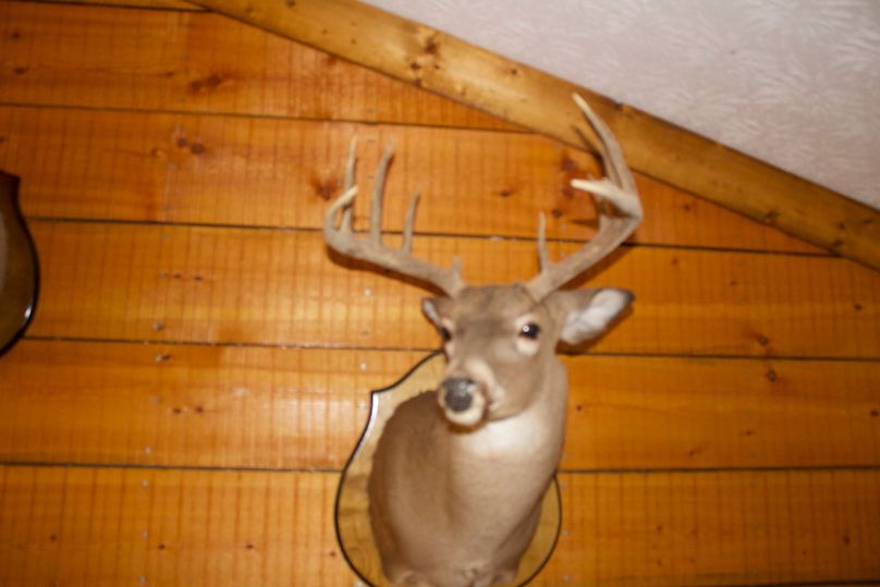 2016-02-12 18.35.32 copy