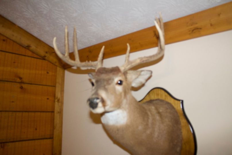 2016-02-12 18.35.39 copy