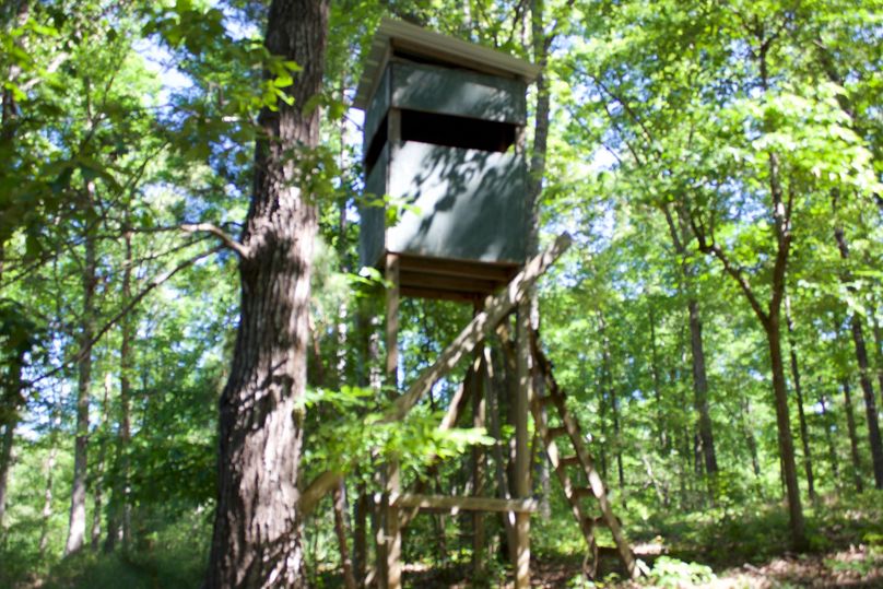 2016-02-12 18.45.22 copy