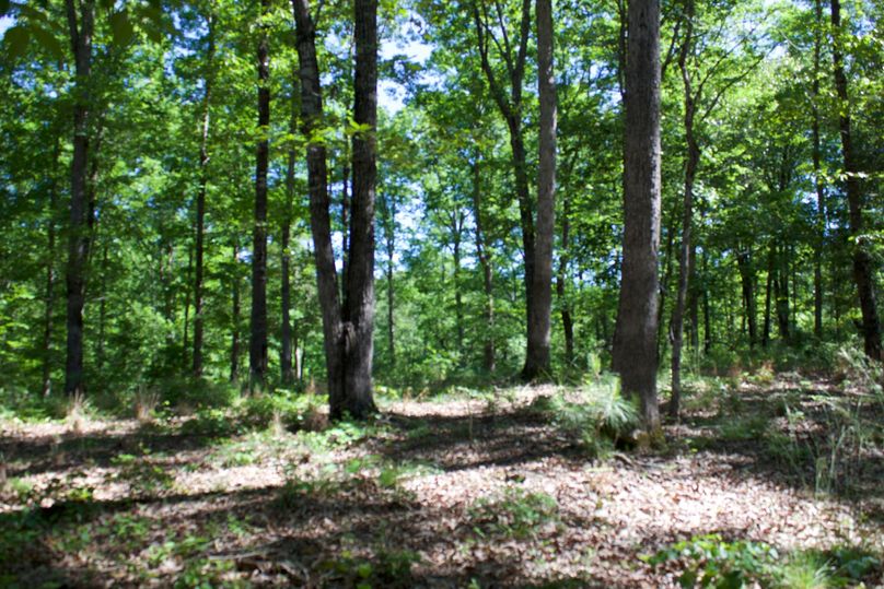 2016-02-12 18.45.34 copy