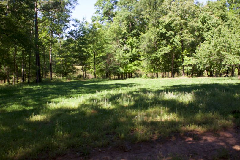 2016-02-12 18.45.56 copy