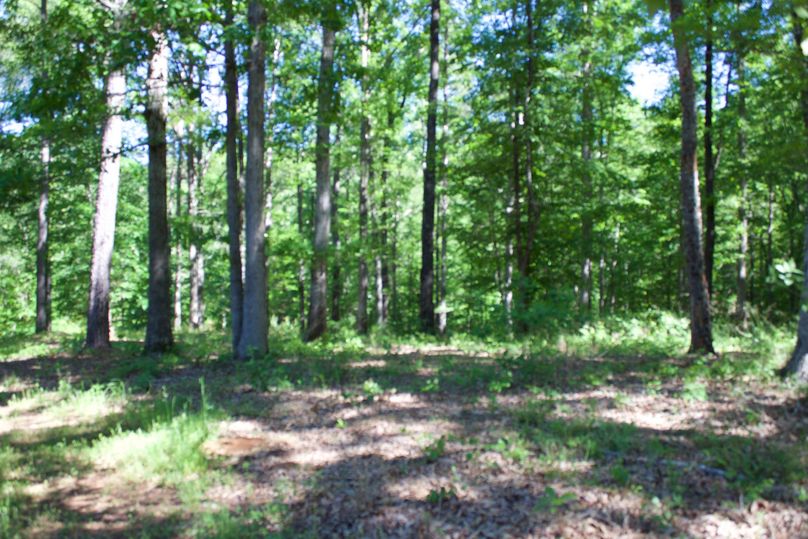 2016-02-12 18.46.12 copy