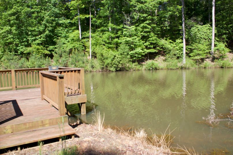 2016-02-12 18.48.22 copy