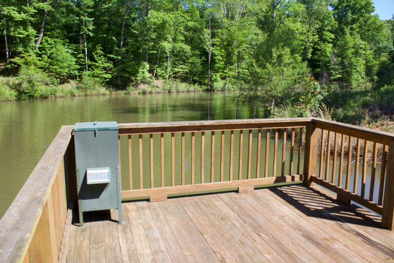 2016-02-12 18.48.57 copy