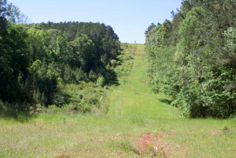 2016-02-12 18.52.51 copy