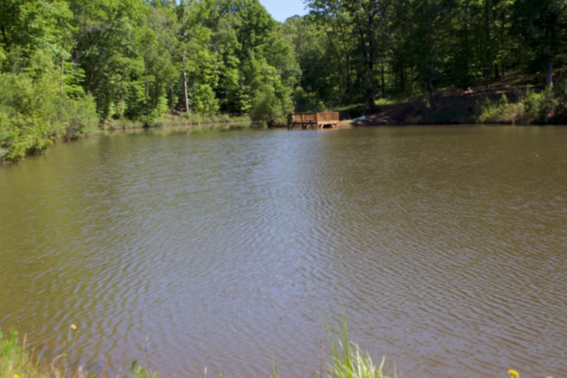 2016-02-12 18.57.03 copy