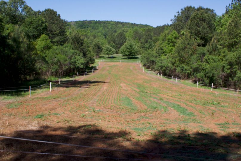 2016-02-12 19.01.24 copy