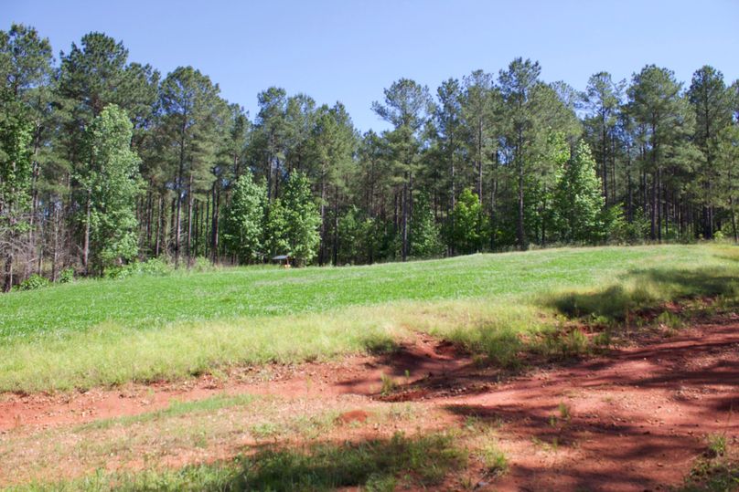 2016-02-12 19.11.06 copy