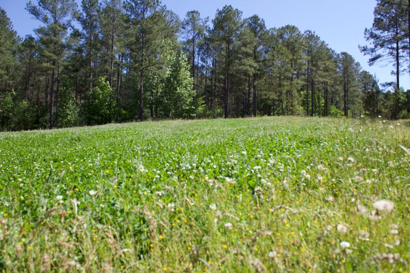 2016-02-12 19.11.39 copy