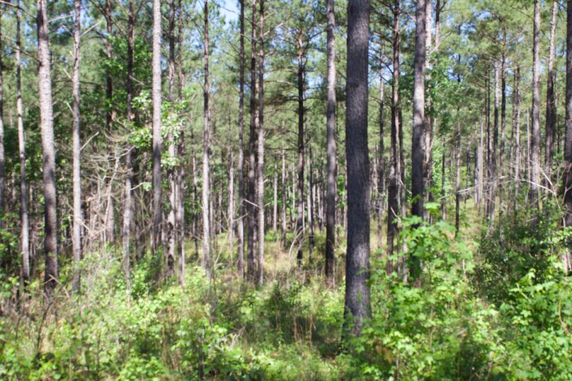 2016-02-12 19.14.00 copy