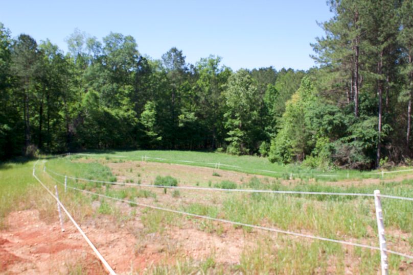 2016-02-12 19.16.25 copy