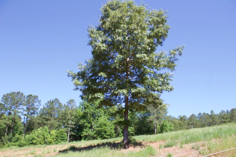 2016-02-12 19.16.43 copy