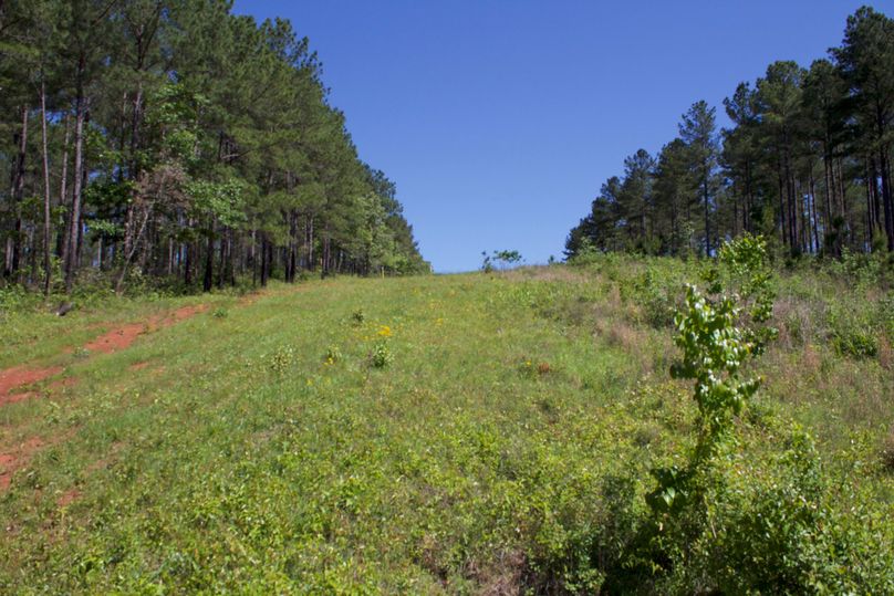 2016-02-12 19.22.17 copy