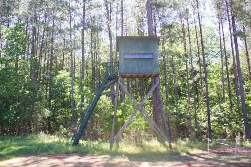 2016-02-12 19.36.08 copy