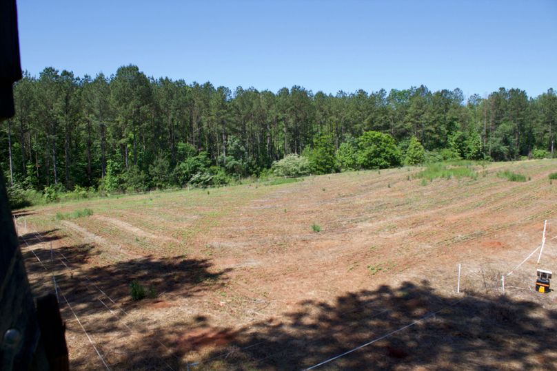 2016-02-12 19.36.44 copy